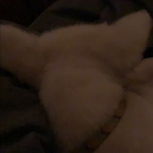 Meet your Posher, Maite